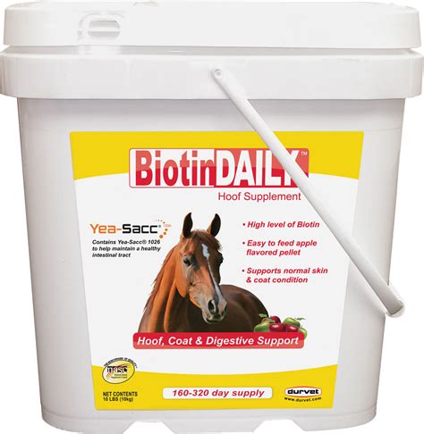 Horse Spell Probiotics: A Natural Solution for Optimizing Equine Gut Flora
